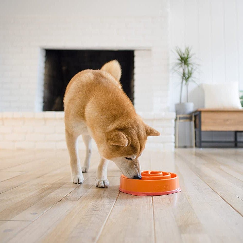 Outward Hound Fun/Slow Feeder for Dogs (Orange) - Image 6