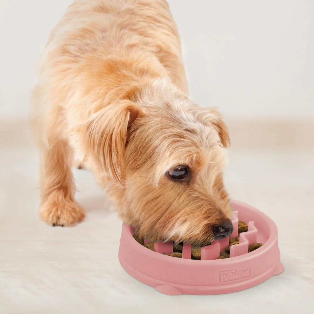 Outward Hound Fun Feeder Slow Feeder Bowl for Dogs (Pink) - Image 5
