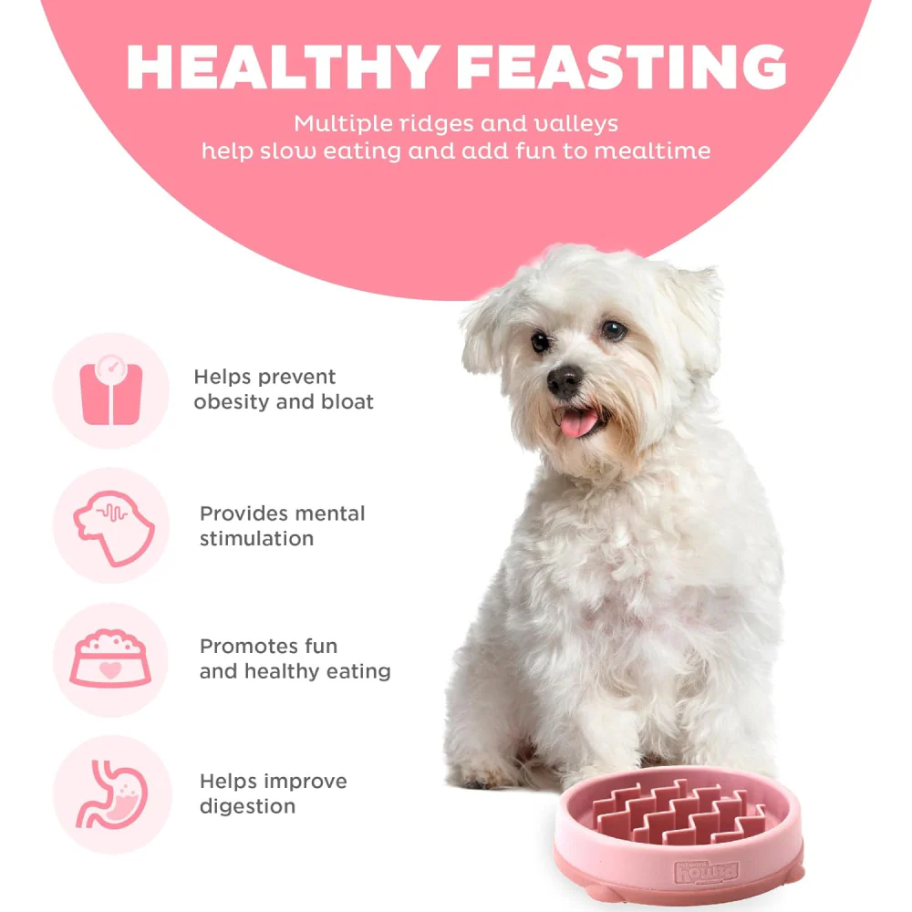 Outward Hound Fun Feeder Slow Feeder Bowl for Dogs (Pink) - Image 8