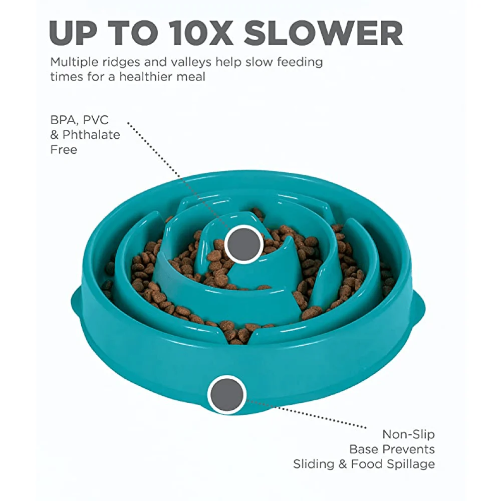 Outward Hound Fun/Slow Feeder for Dogs (Green Blue) - Image 5