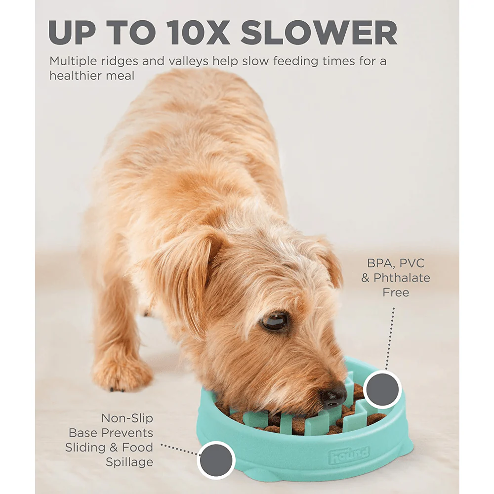 Outward Hound Fun/Slow Feeder for Dogs (Green) - Image 4