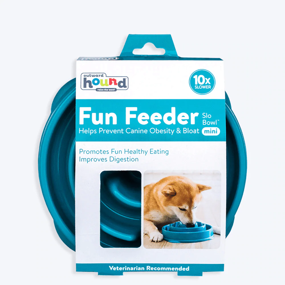 Outward Hound Fun/Slow Feeder for Dogs (Teal) - Image 2