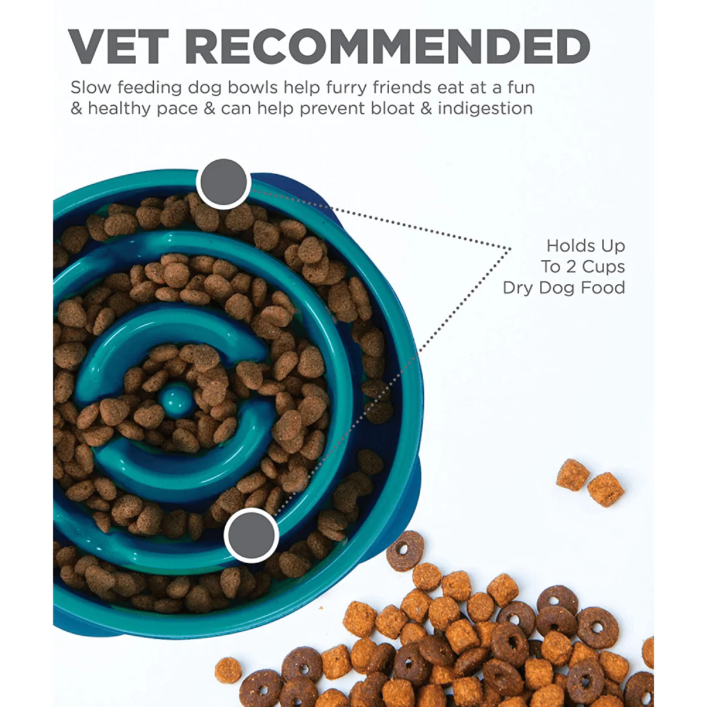 Outward Hound Fun/Slow Feeder for Dogs (Teal) - Image 5