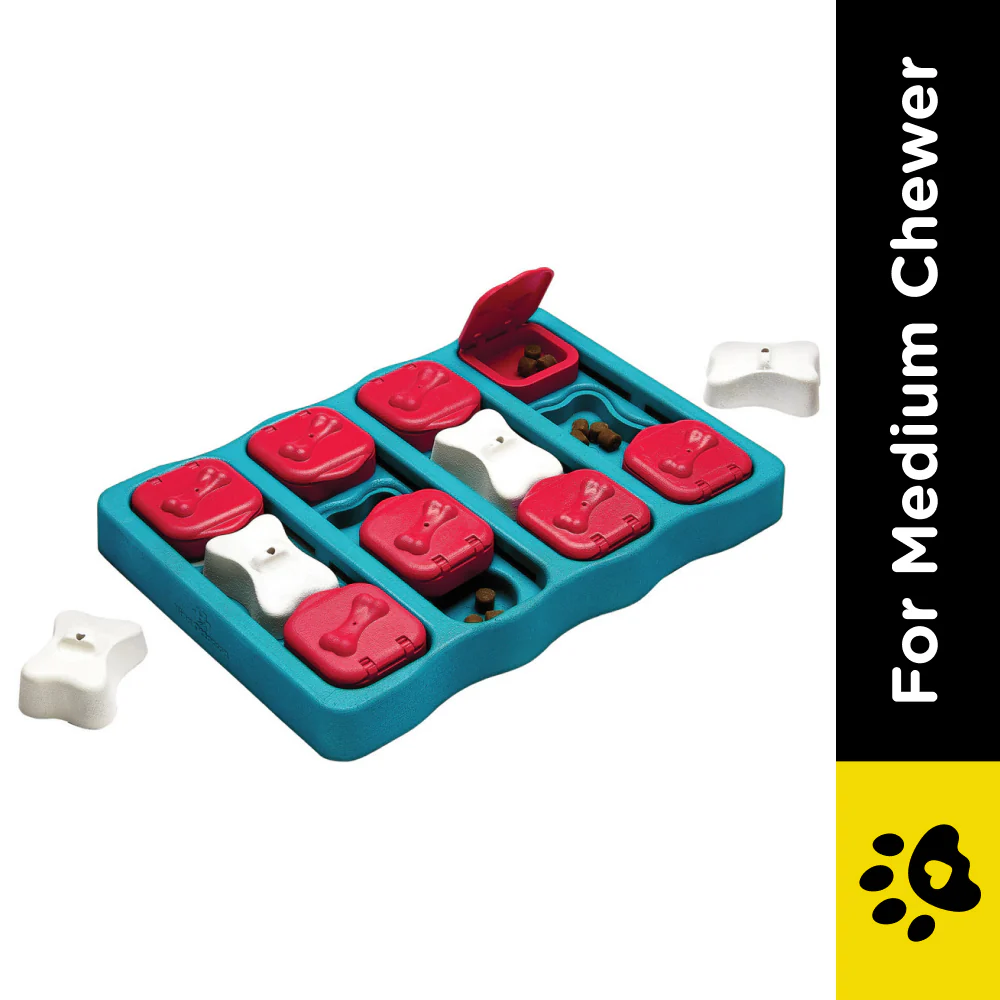 Outward Hound Nina Ottosson Brick Game for Dogs (Blue Level 2 Intermediate) | For Medium Chewers - Image 2