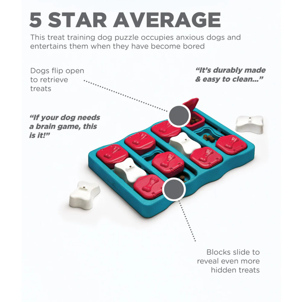 Outward Hound Nina Ottosson Brick Game for Dogs (Blue Level 2 Intermediate) | For Medium Chewers - Image 3