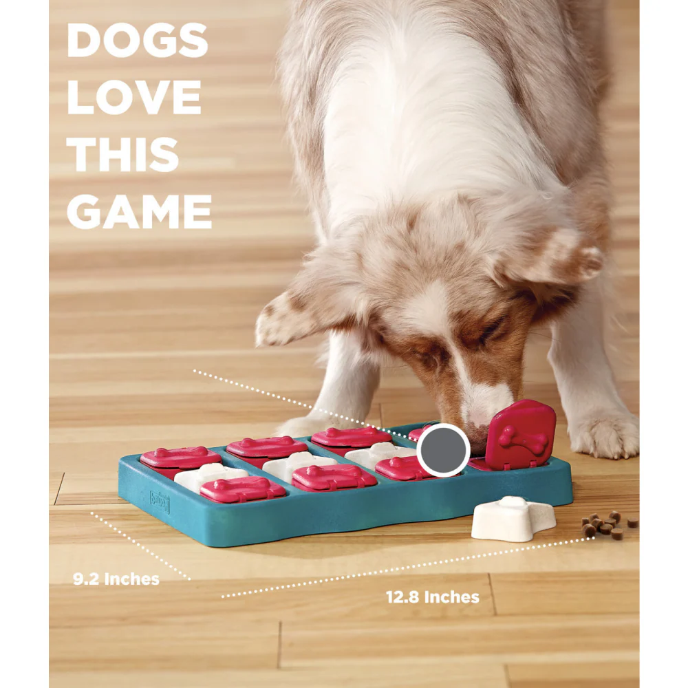 Outward Hound Nina Ottosson Brick Game for Dogs (Blue Level 2 Intermediate) | For Medium Chewers - Image 5