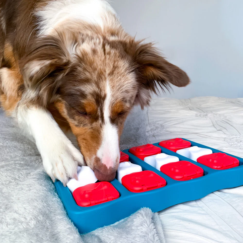Outward Hound Nina Ottosson Brick Game for Dogs (Blue Level 2 Intermediate) | For Medium Chewers - Image 7