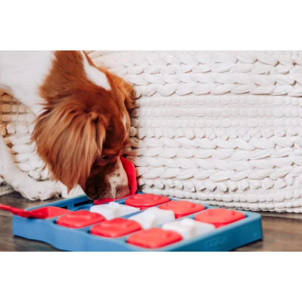 Outward Hound Nina Ottosson Brick Game for Dogs (Blue Level 2 Intermediate) | For Medium Chewers - Image 8