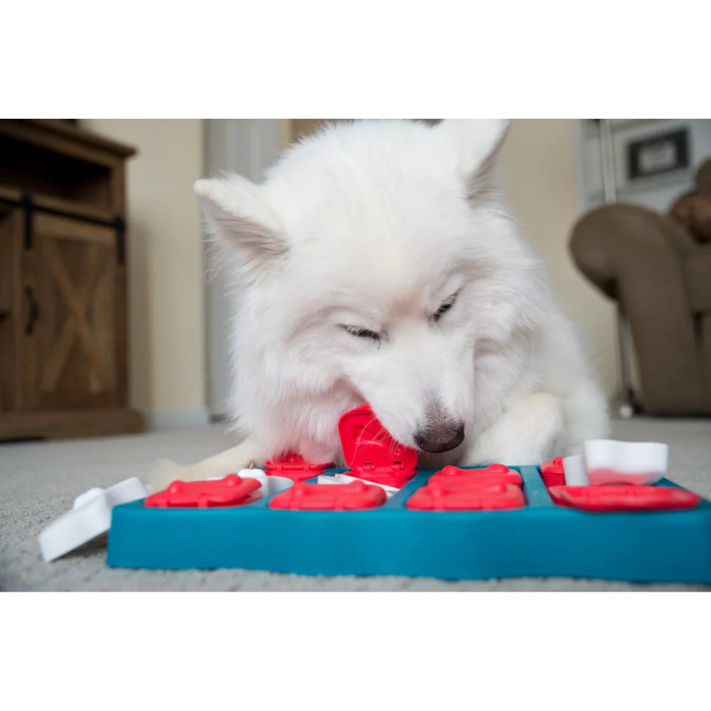 Outward Hound Nina Ottosson Brick Game for Dogs (Blue Level 2 Intermediate) | For Medium Chewers - Image 9