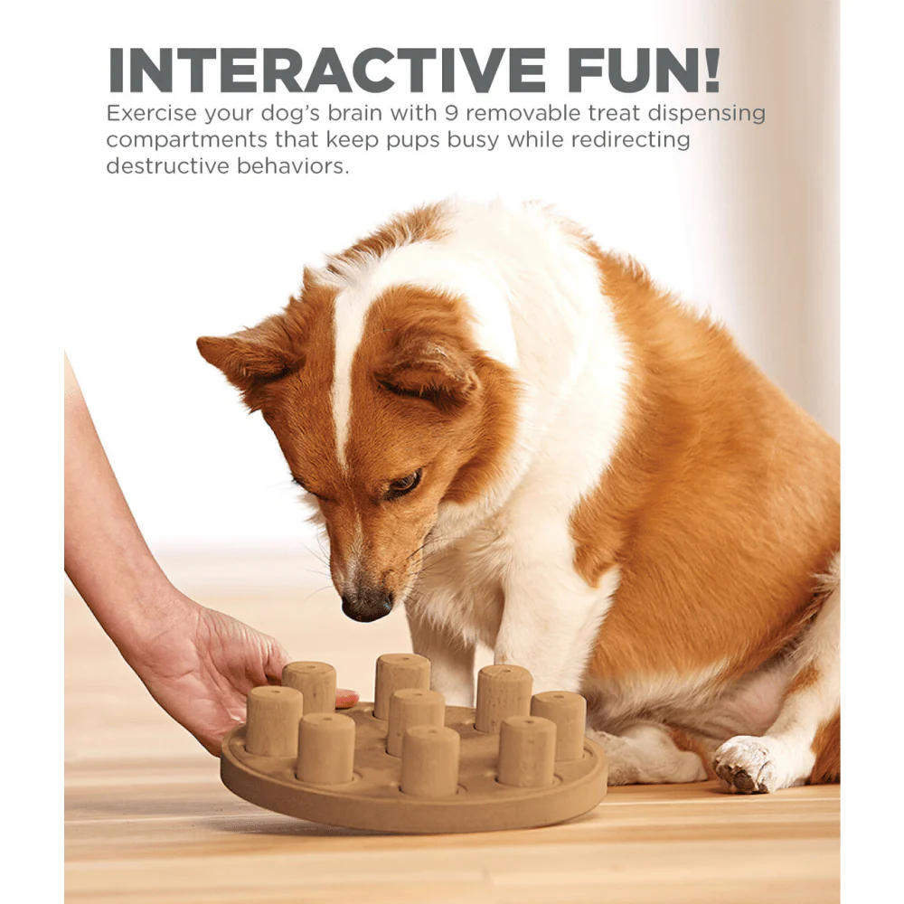 Outward Hound Nina Ottosson Dog Smart Composite Game for Dogs (Level 1 Beginner) - Image 6