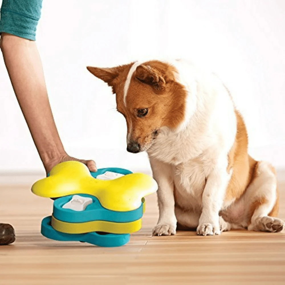 Outward Hound Nina Ottosson Dog Tornado Game for Dogs (Level 2 Intermediate) - Image 6
