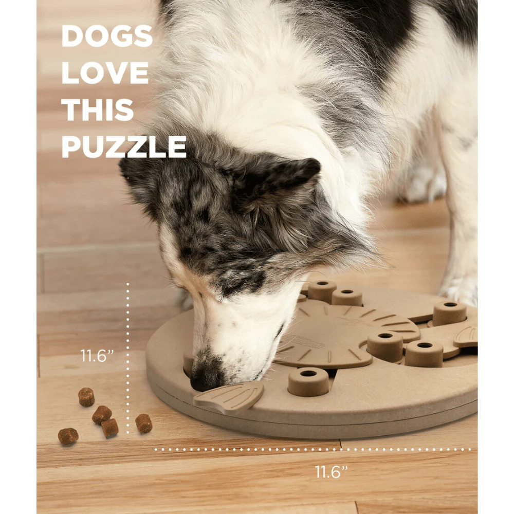 Outward Hound Nina Ottosson Dog Worker Slide Cups and Twist Flaps Toy for Dogs (Level 3 Advanced) - Image 5