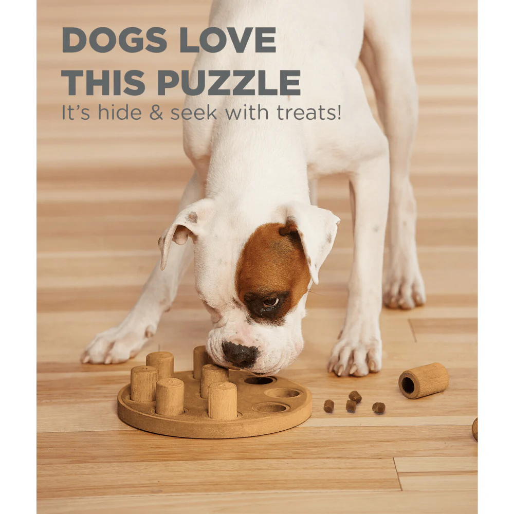 Outward Hound Nina Ottosson Smart Composite Game for Dogs (Orange, Level 1 Beginner) - Image 7