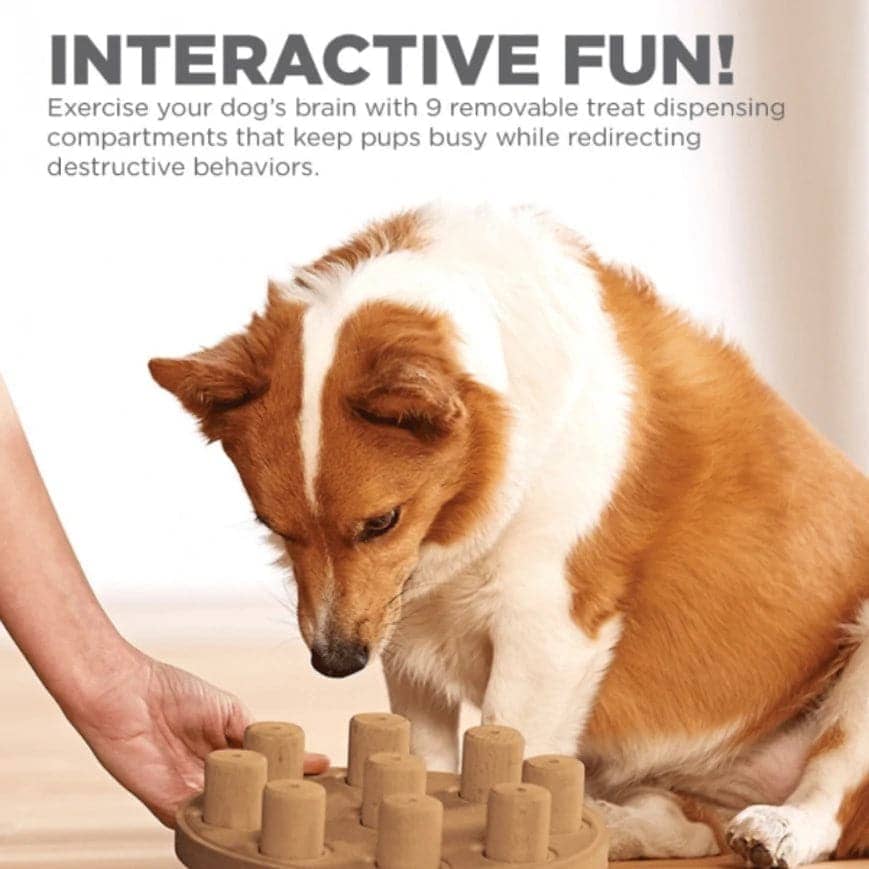 Outward Hound Nina Ottosson Smart Composite Game for Dogs (Orange, Level 1 Beginner) - Image 9
