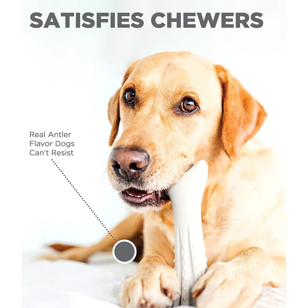 Outward Hound Petstages Deerhorn Durable Chew Toy for Dogs (White) - Image 4