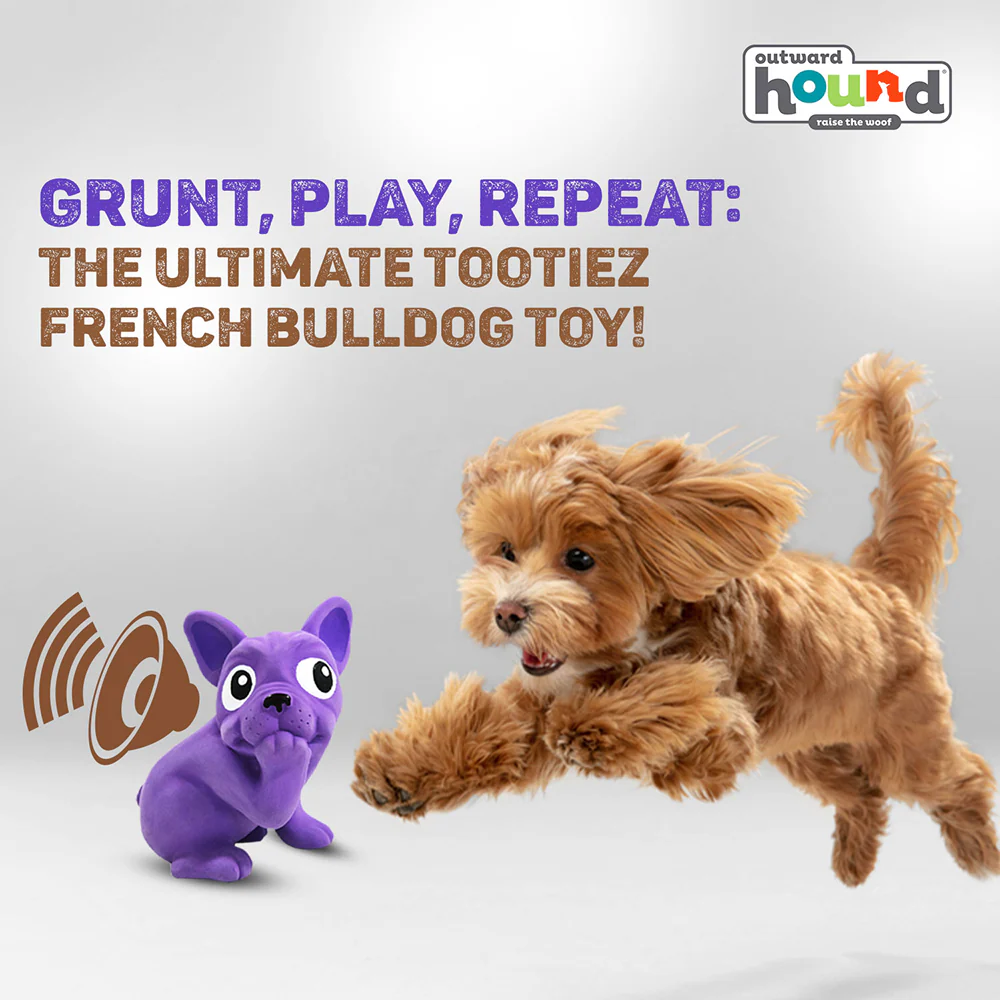 Outward Hound Tootiez Grunting French Bulldog Interactive Chew Toy for Dogs (Purple) - Image 3