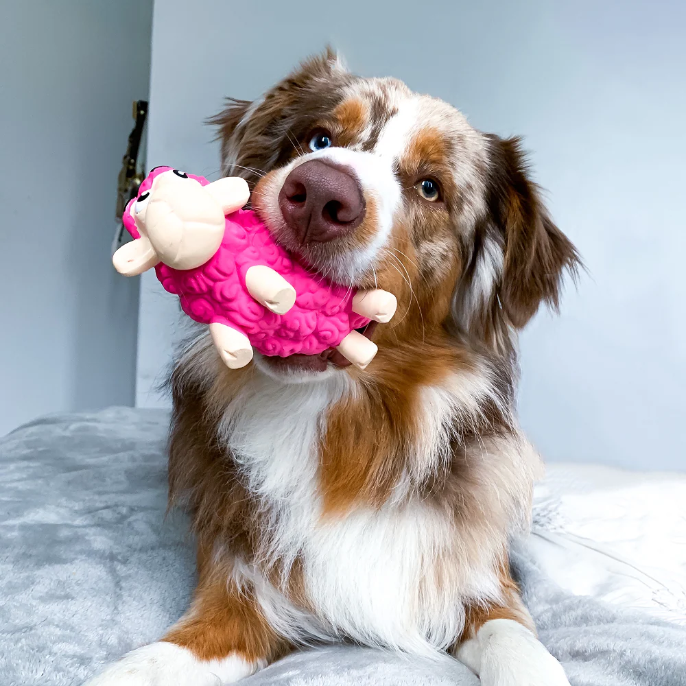 Outward Hound Tootiez Sheep Latex Rubber Toy for Dogs (Pink) - Image 6