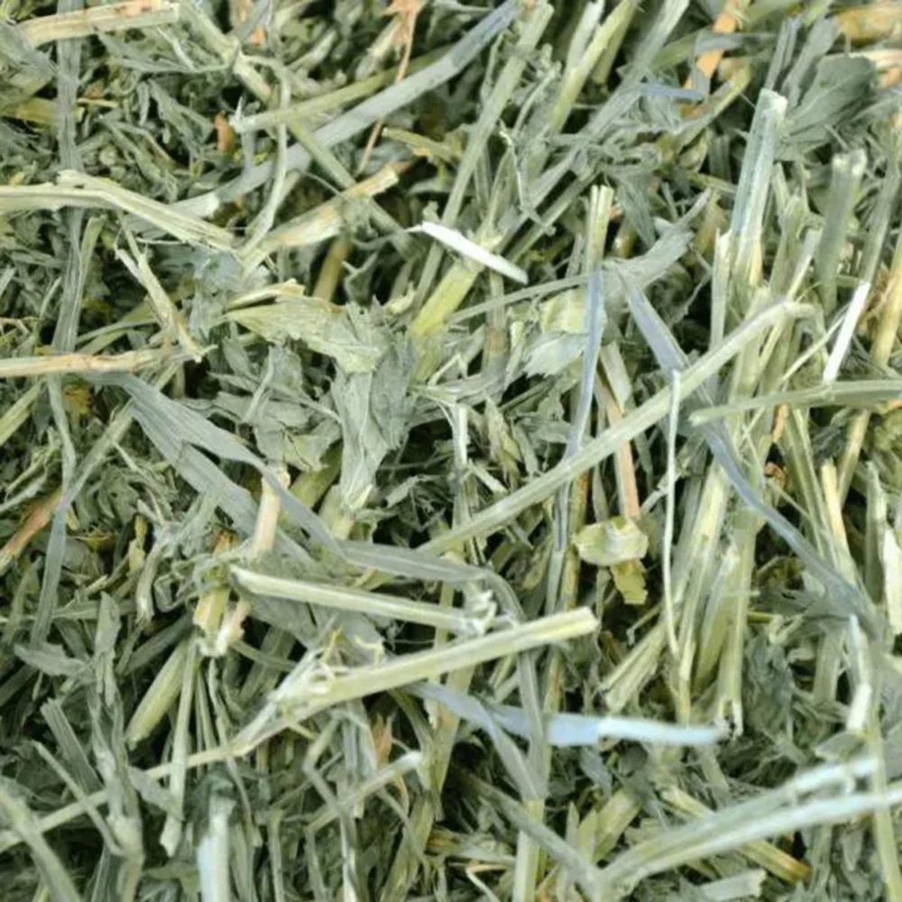 Oxbow Alfalfa Hay Dry Food for Rabbits and Guinea Pigs - Image 2