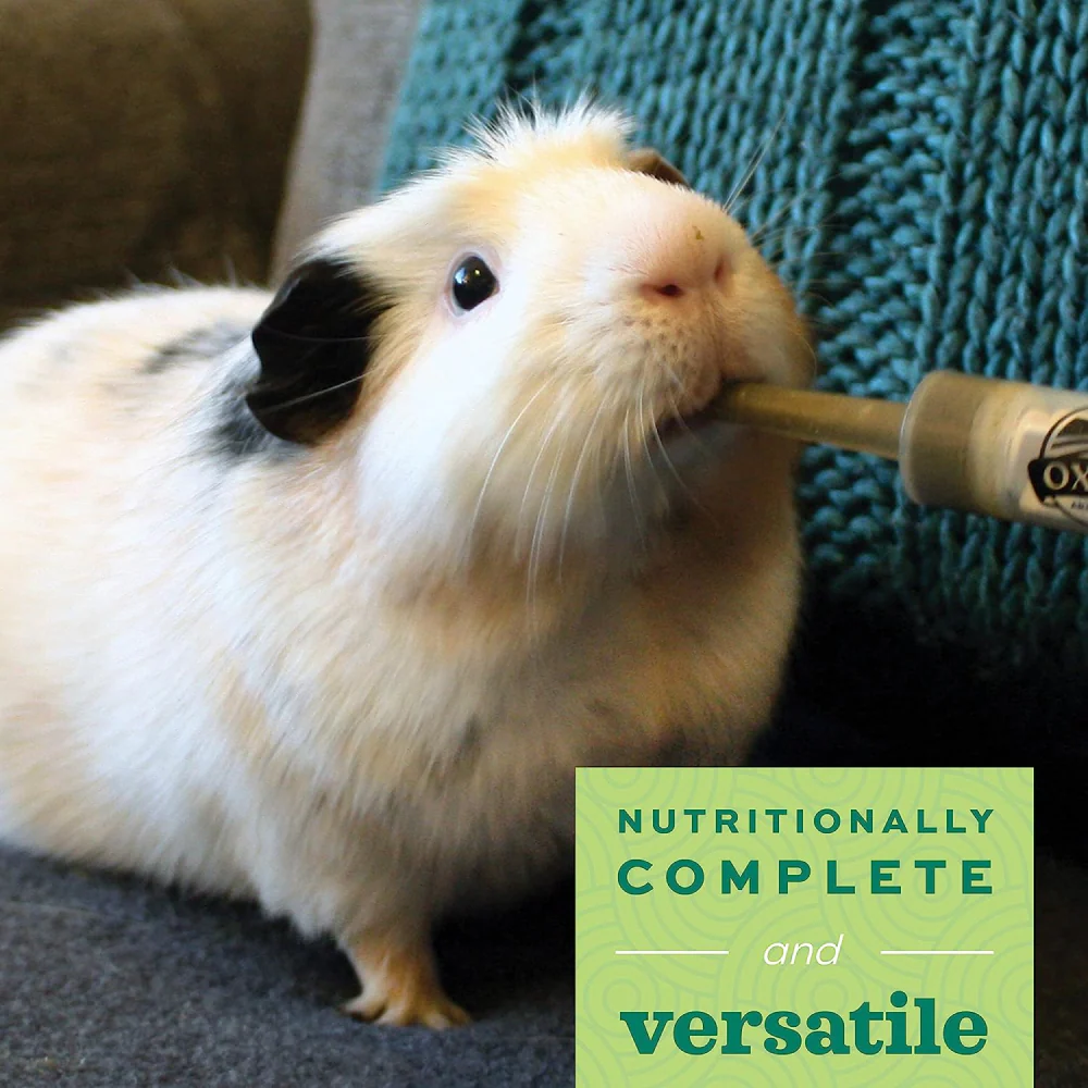 Oxbow Critical Care Anise Herbivore Dry Food for Rabbits and Guinea Pigs - Image 3