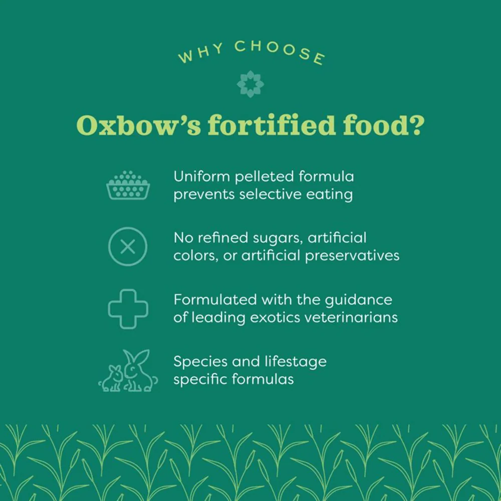 Oxbow Essentials Dry Food for Adult Rabbits - Image 4