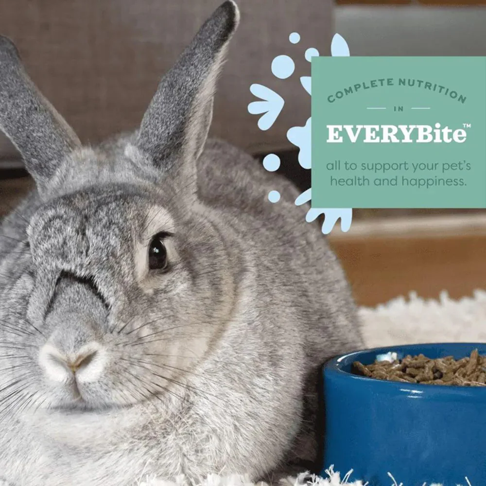 Oxbow Essentials Dry Food for Young Rabbits - Image 2