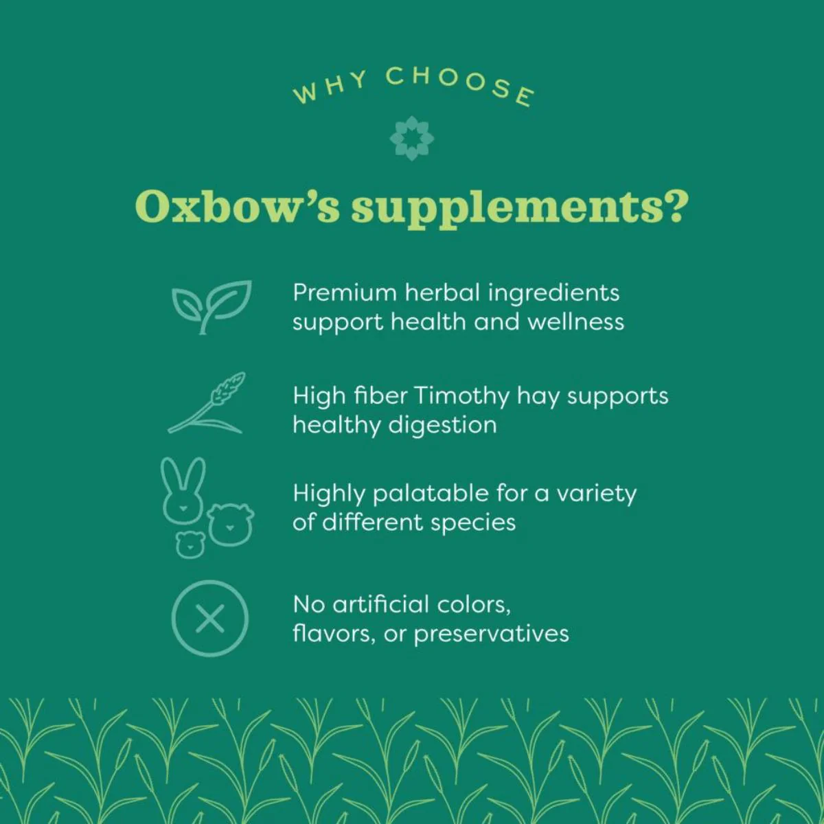 Oxbow Natural Science Multi Vitamin Supplement for Rabbits and Guinea Pigs - Image 3