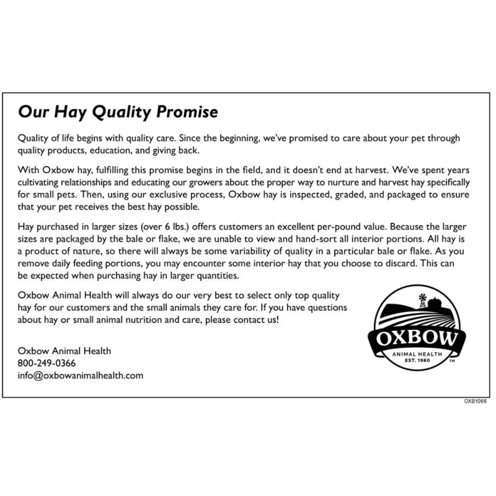 Oxbow Western Timothy Hay Dry Food for Rabbits and Guinea Pigs - Image 4