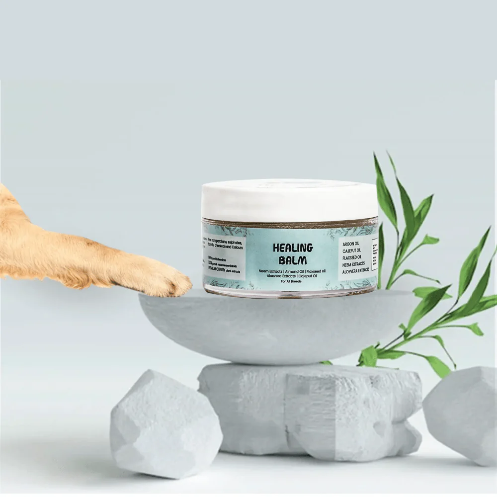 Papa Pawsome 100% Natural Healing Balm for Dog - Image 3