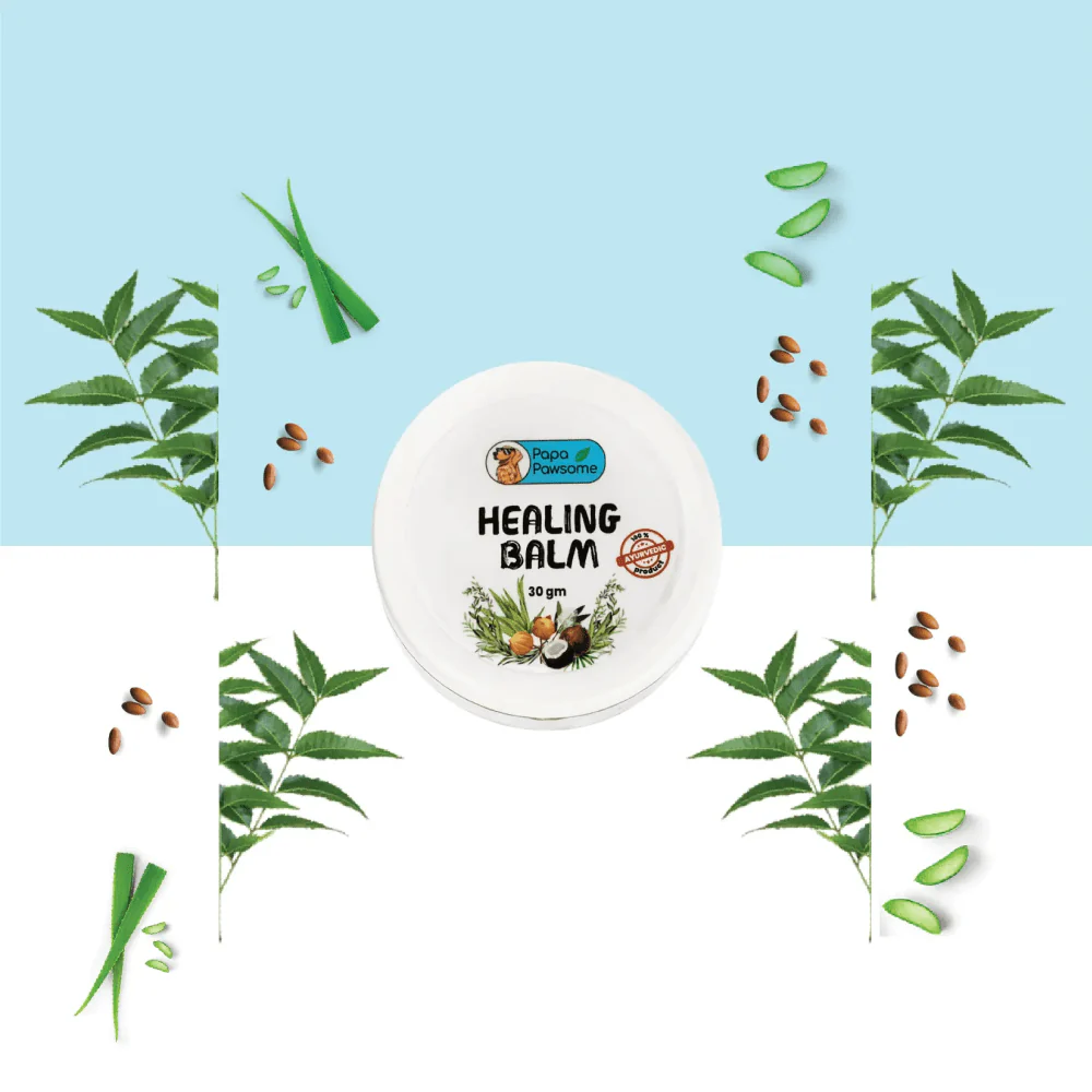 Papa Pawsome 100% Natural Healing Balm for Dog - Image 4