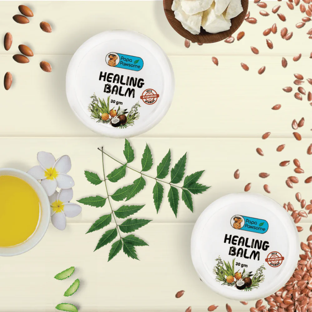 Papa Pawsome 100% Natural Healing Balm for Dog - Image 5
