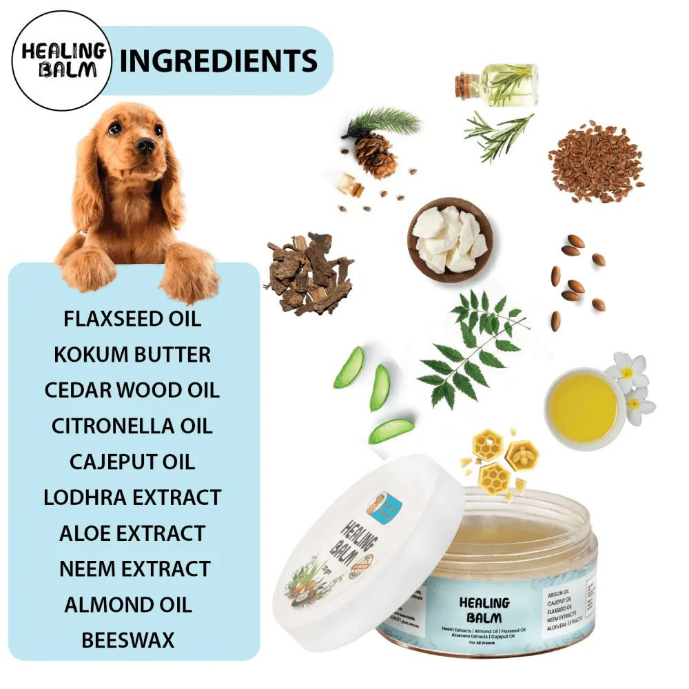 Papa Pawsome 100% Natural Healing Balm for Dog - Image 6
