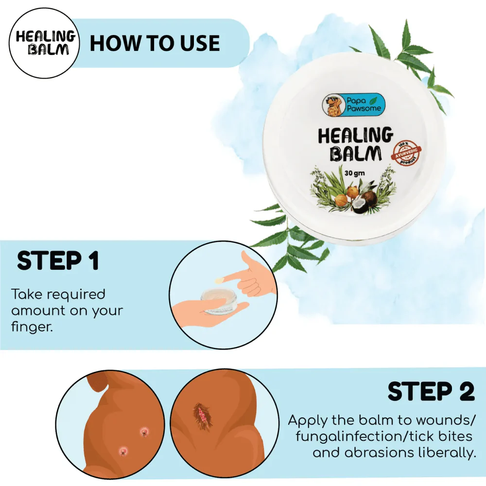 Papa Pawsome 100% Natural Healing Balm for Dog - Image 7