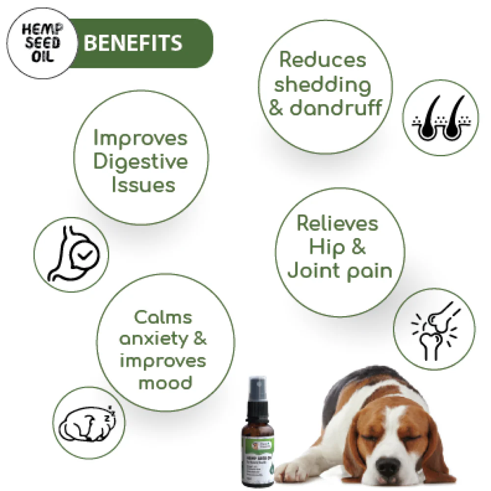 Papa Pawsome Hemp Seed Oil for Dogs - Image 2