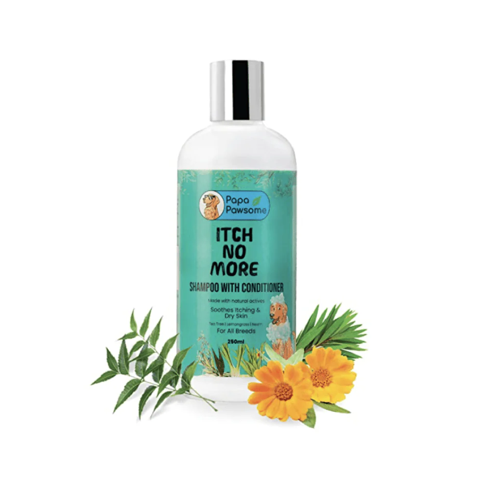 Papa Pawsome Itch No More Shampoo with Conditioner and Palm Brush for Dogs - Image 3