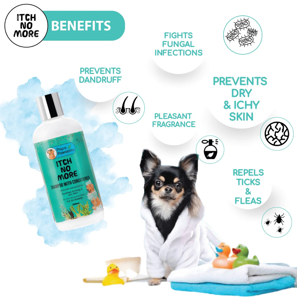 Papa Pawsome Itch No More Shampoo with Conditioner and Palm Brush for Dogs - Image 4