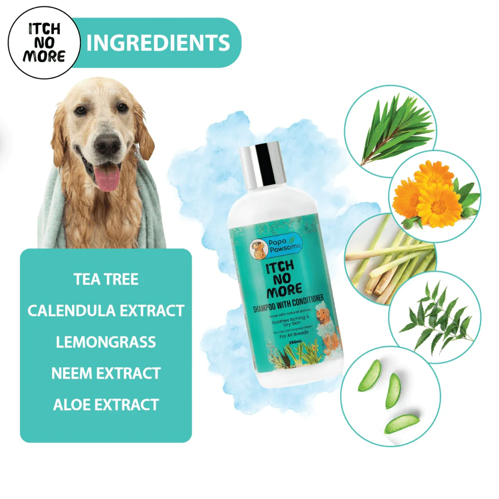 Papa Pawsome Itch No More Shampoo with Conditioner for Dogs - Image 5