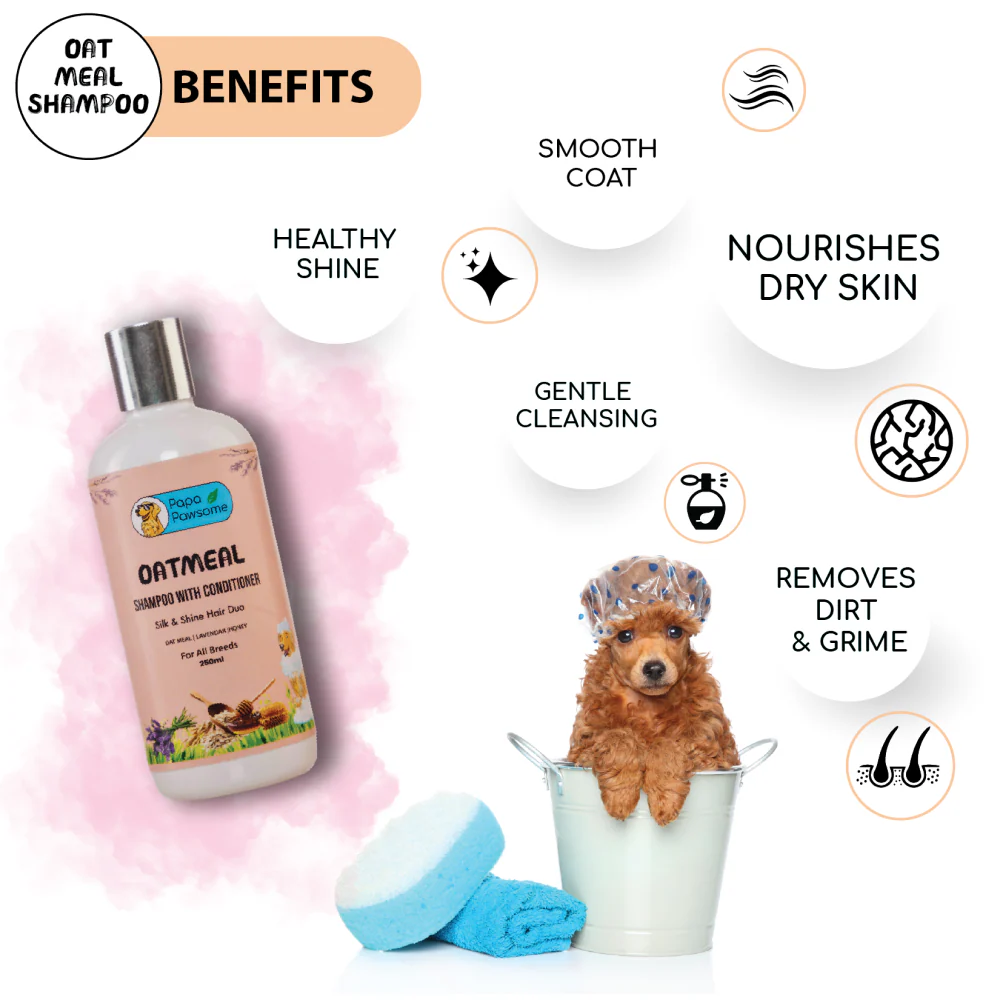 Papa Pawsome Oatmeal Shampoo with Conditioner for Dogs - Image 3