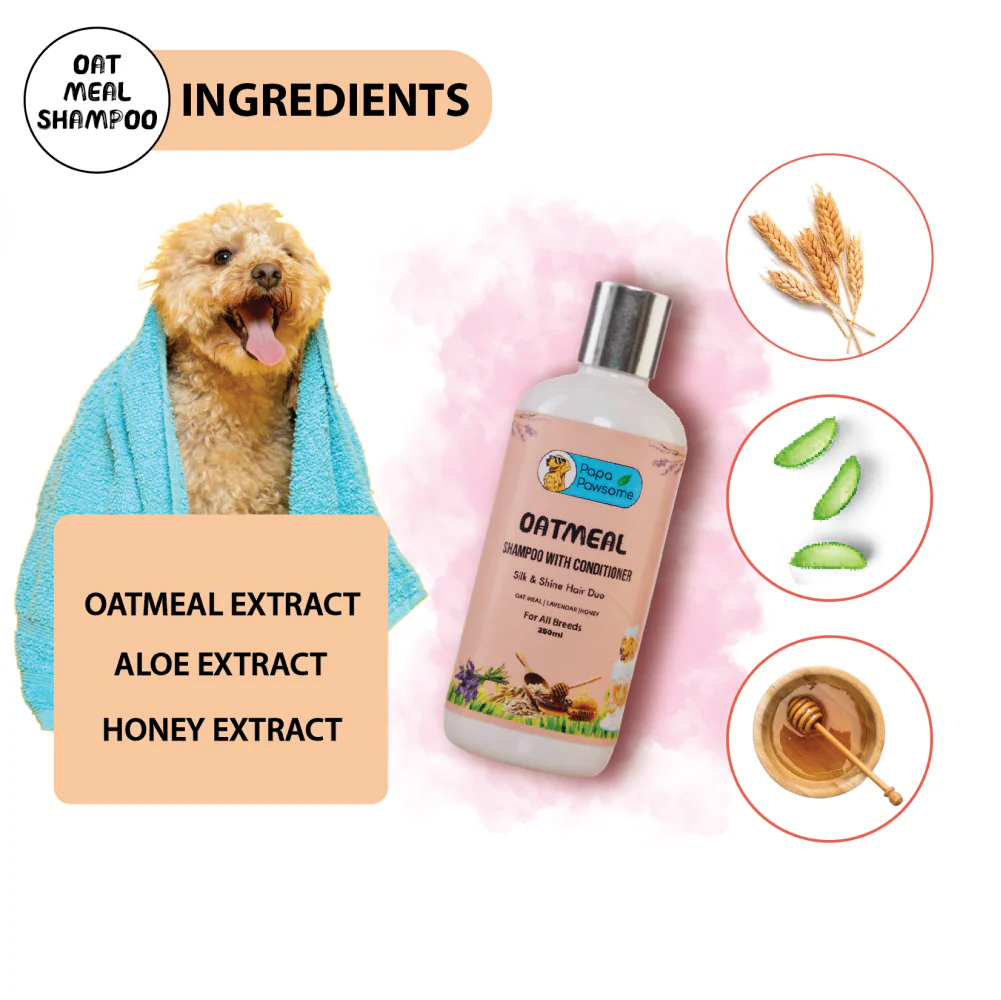 Papa Pawsome Oatmeal Shampoo with Conditioner for Dogs - Image 4