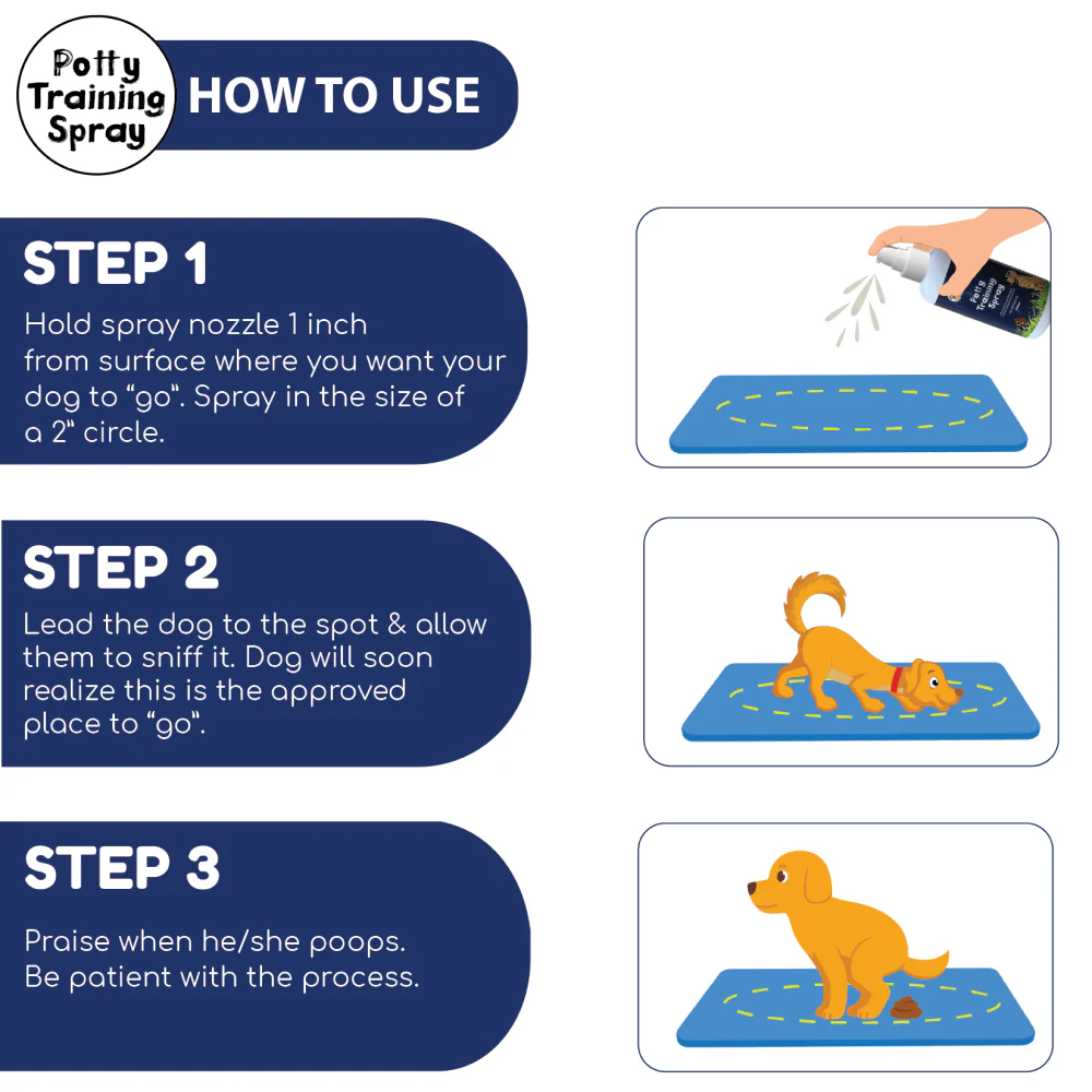 Papa Pawsome Pee Poo Potty Training Spray and Palm Brush for Dogs and Cats - Image 4