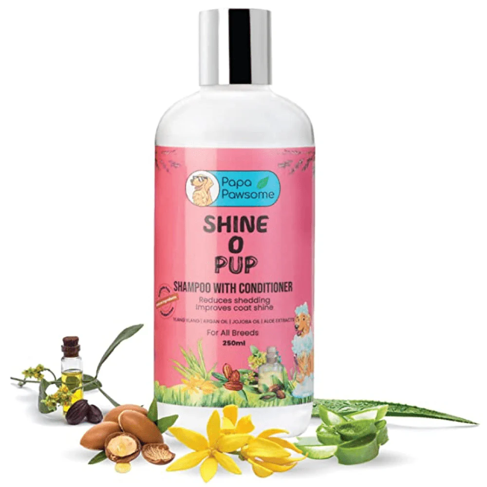 Papa Pawsome Shine O' Pup Tear Free Shampoo with Conditioner for Dogs - Image 2