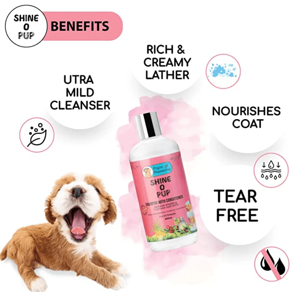 Papa Pawsome Shine O' Pup Tear Free Shampoo with Conditioner for Dogs - Image 3