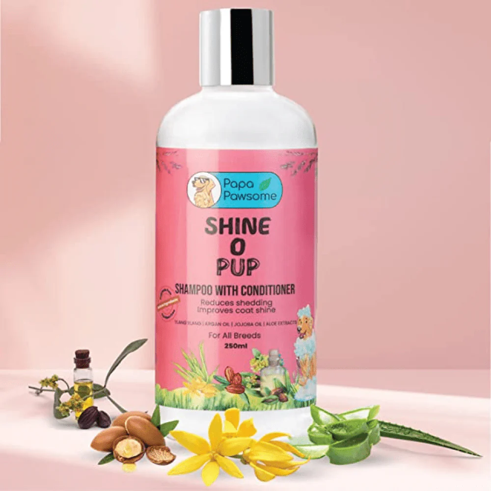 Papa Pawsome Shine O' Pup Tear Free Shampoo with Conditioner for Dogs - Image 7