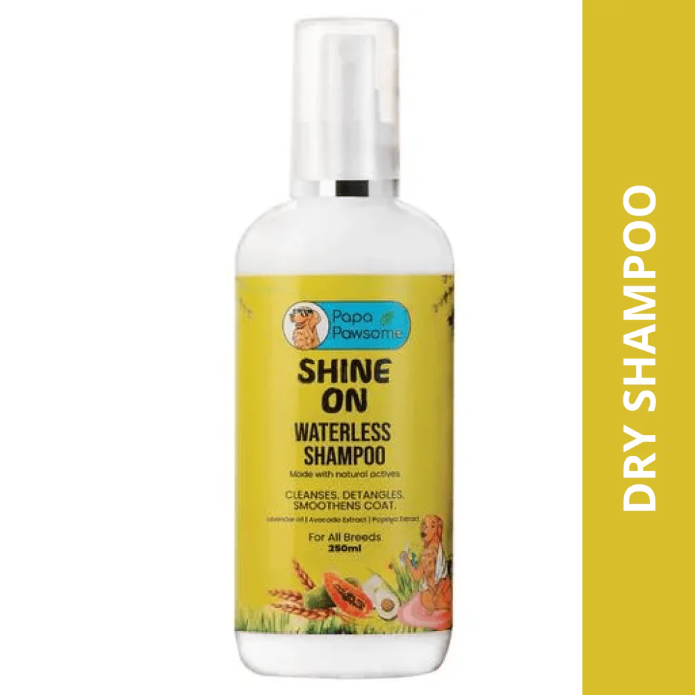 Papa Pawsome Shine On Waterless Shampoo and Braided Rope Ball for Dogs - Image 2
