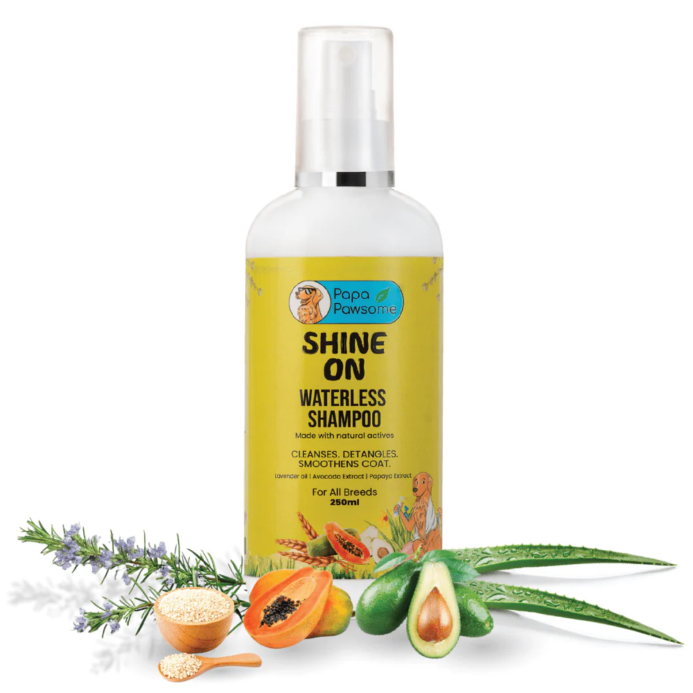 Papa Pawsome Shine On Waterless Shampoo and Braided Rope Ball for Dogs - Image 3