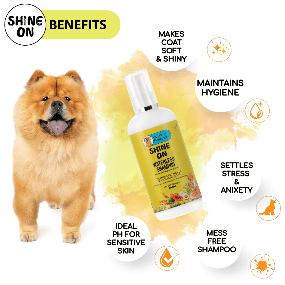 Papa Pawsome Shine On Waterless Shampoo and Braided Rope Ball for Dogs - Image 4