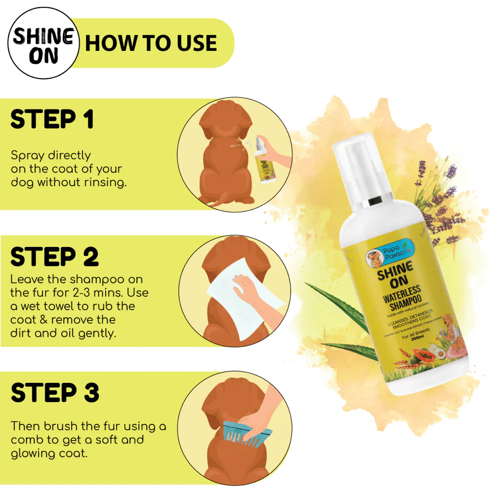 Papa Pawsome Shine On Waterless Shampoo and Braided Rope Ball for Dogs - Image 5