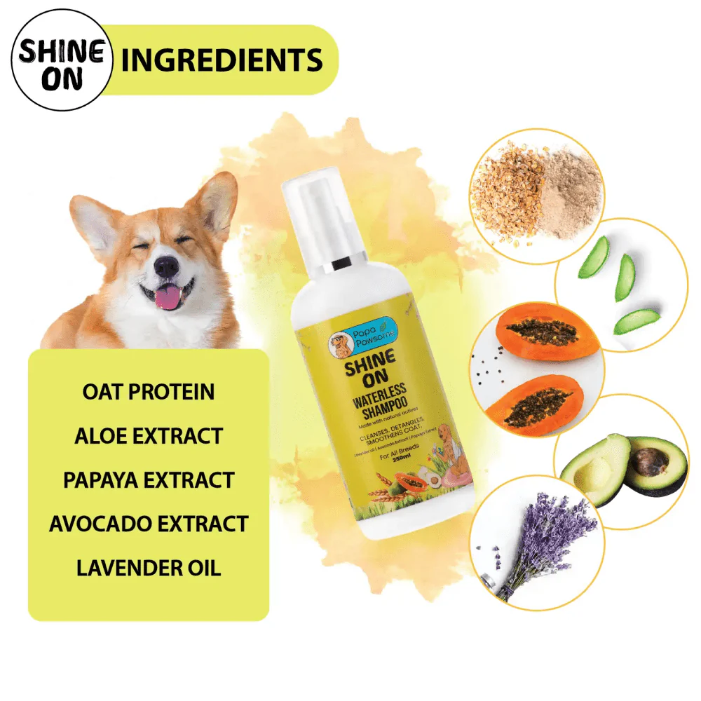Papa Pawsome Shine On Waterless Shampoo and Braided Rope Ball for Dogs - Image 6