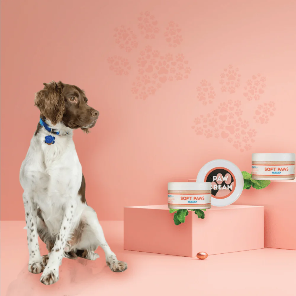 Papa Pawsome Soft Paws 100% Natural Paw Cream for Dogs - Image 8