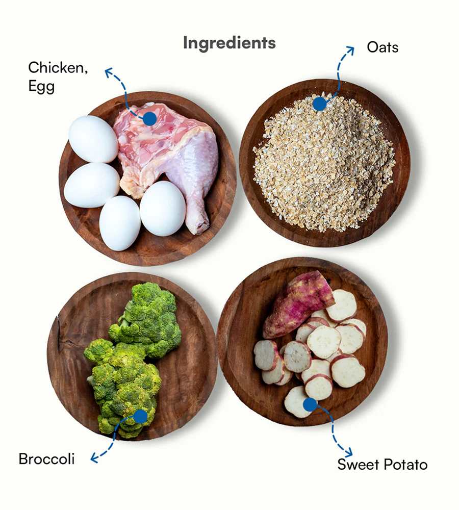 Pawfectly Made By Licious Chicken Oats & Broccoli Home Meal for Dogs - Image 2