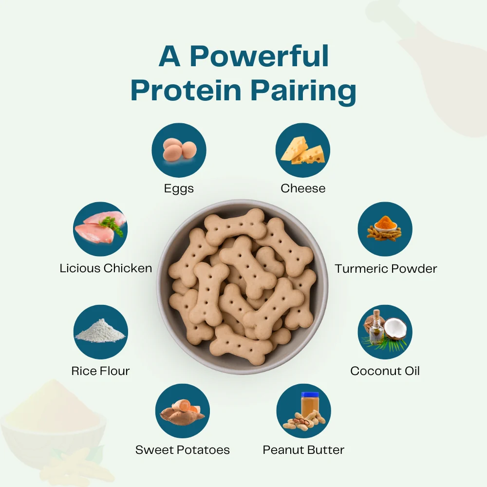 Pawfectly Made By Licious Chicken & Peanut Butter Biscuits Dog Treats - Image 2